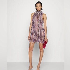 Sarah Regensburger Mini manifest